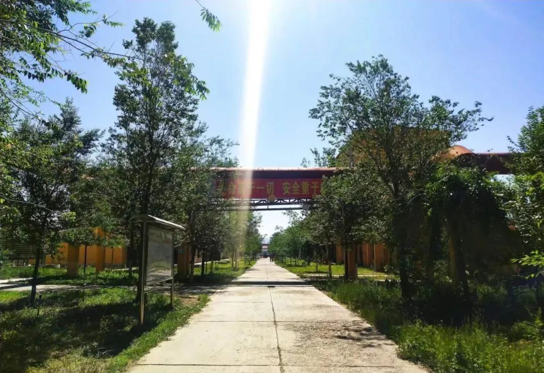 寶石花·有聲 | 十年，我愛上了你——恒盛